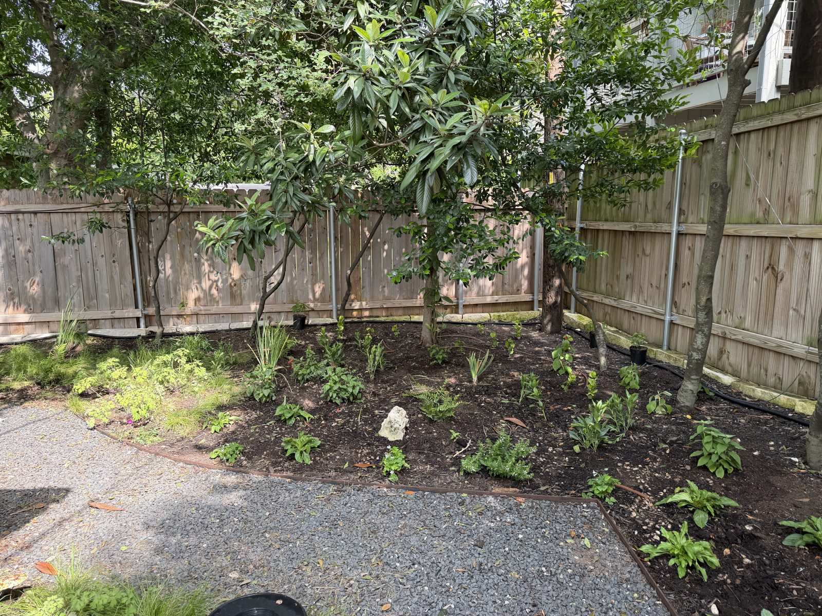 Newly installed native planting bed along a backyard fence