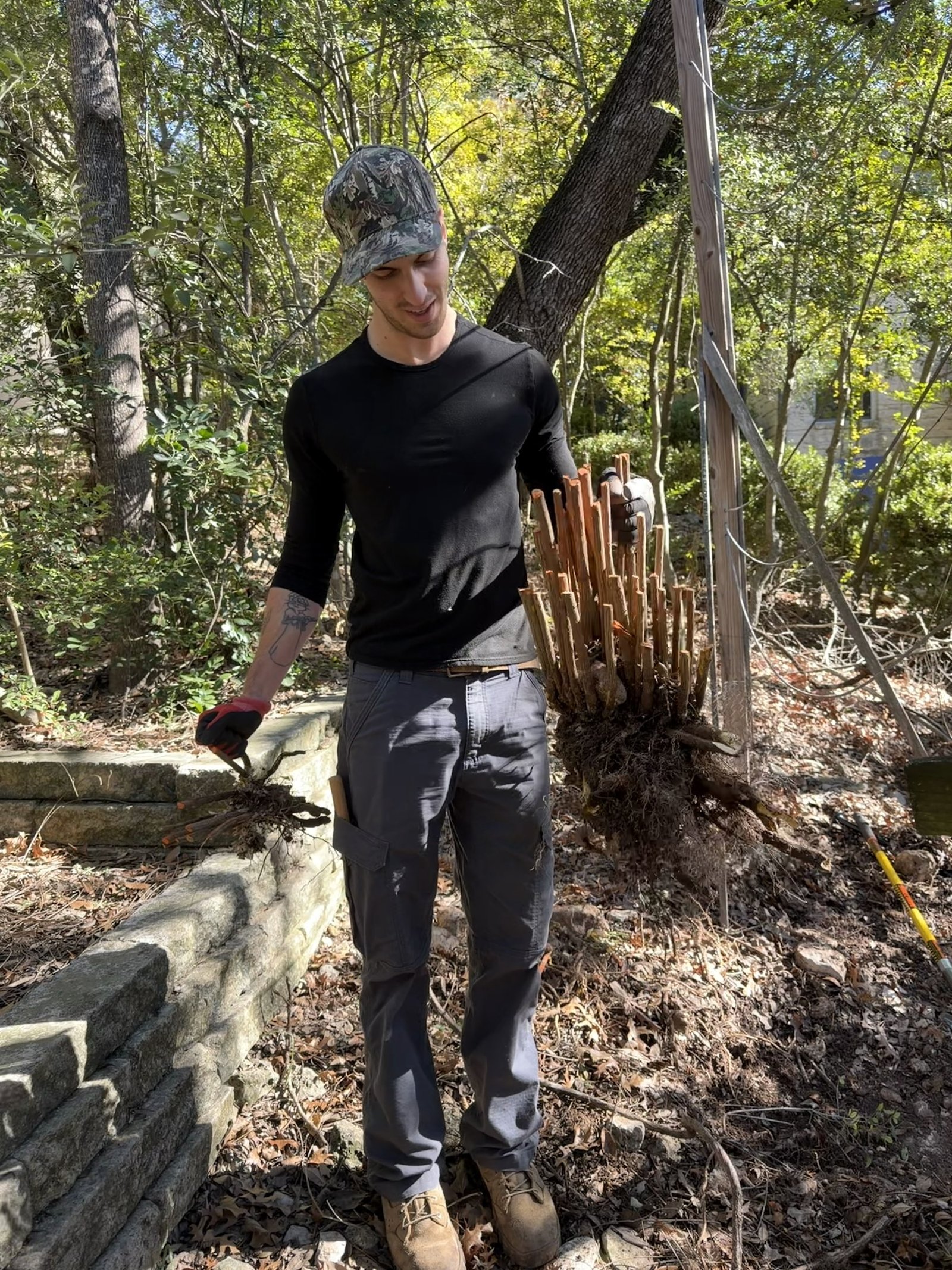Invasive shrubs removed by the roots during a restoration project