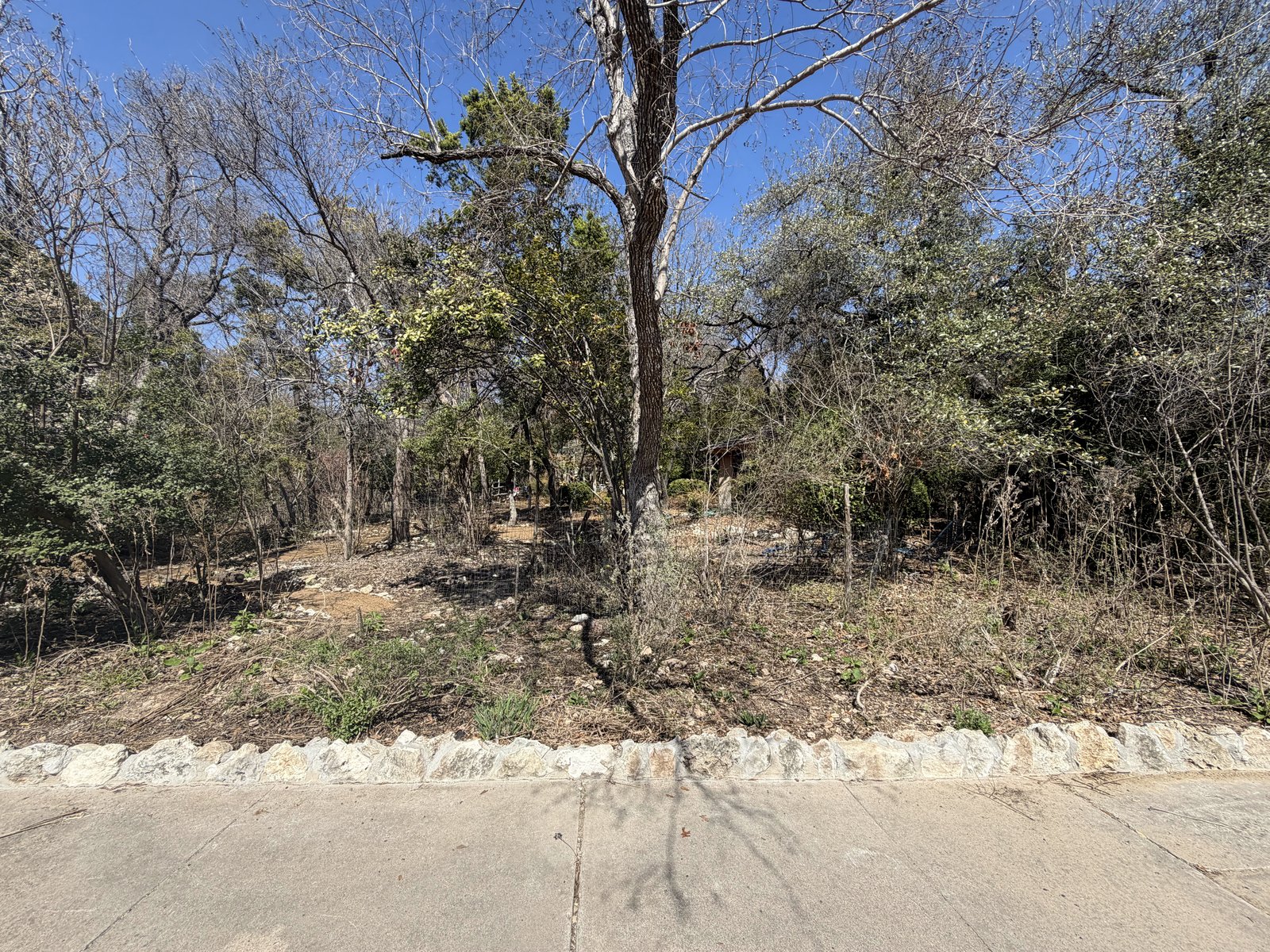 Bare, dormant roadside strip with brush and exposed soil before restoration